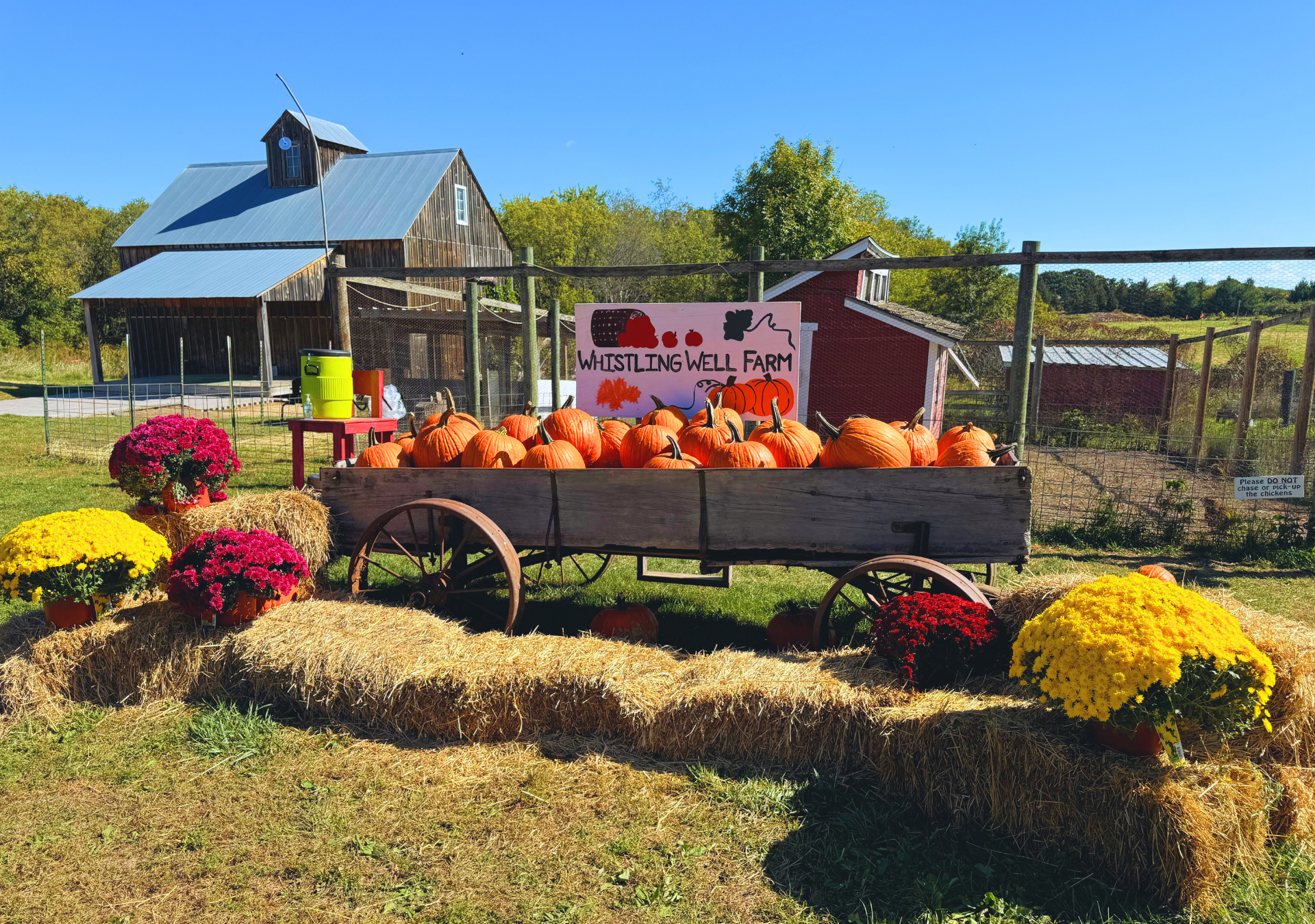 Image for Local Profile: Whistling Well Farm