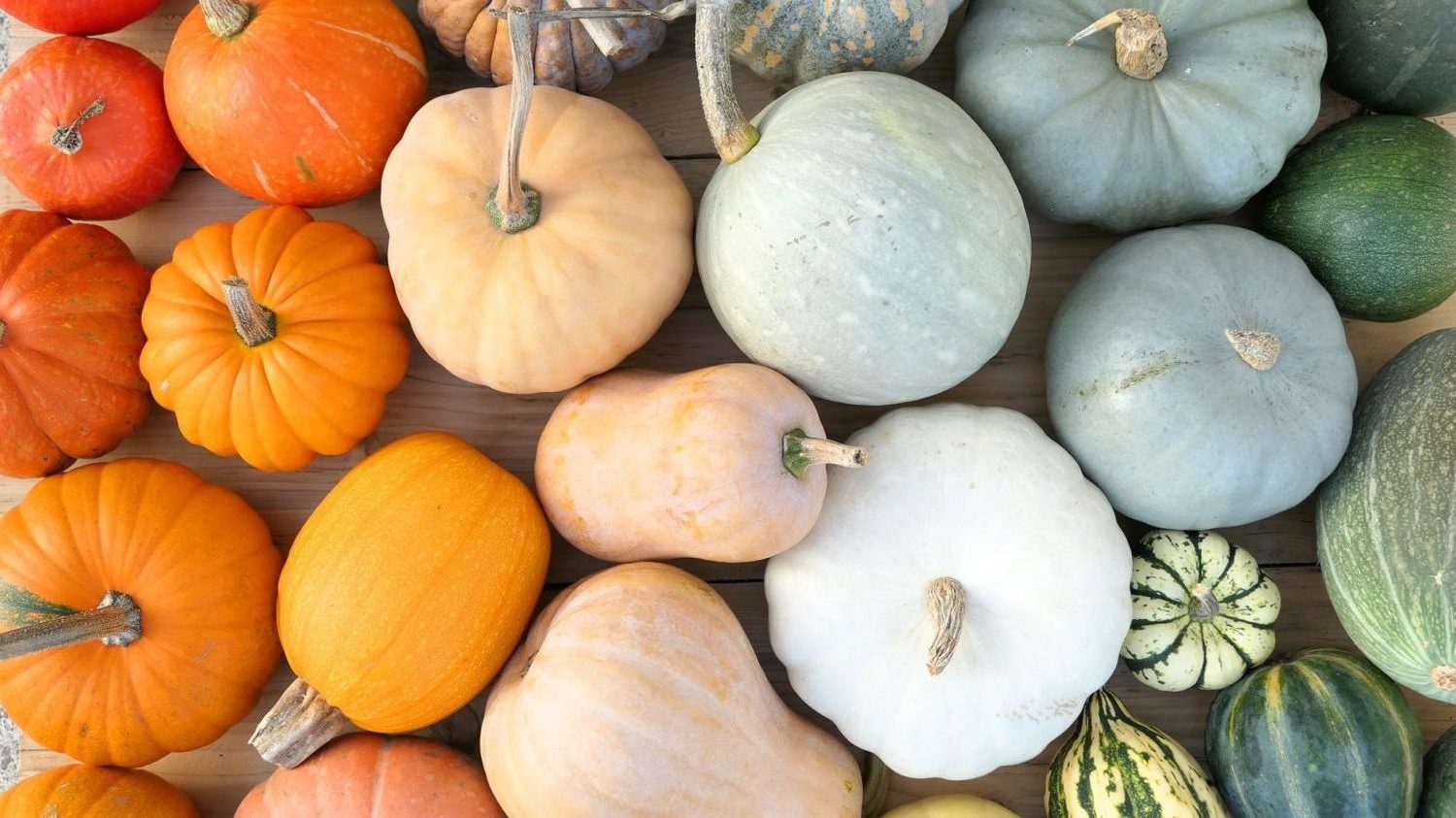 Image for Winter Squash at the Co-op
