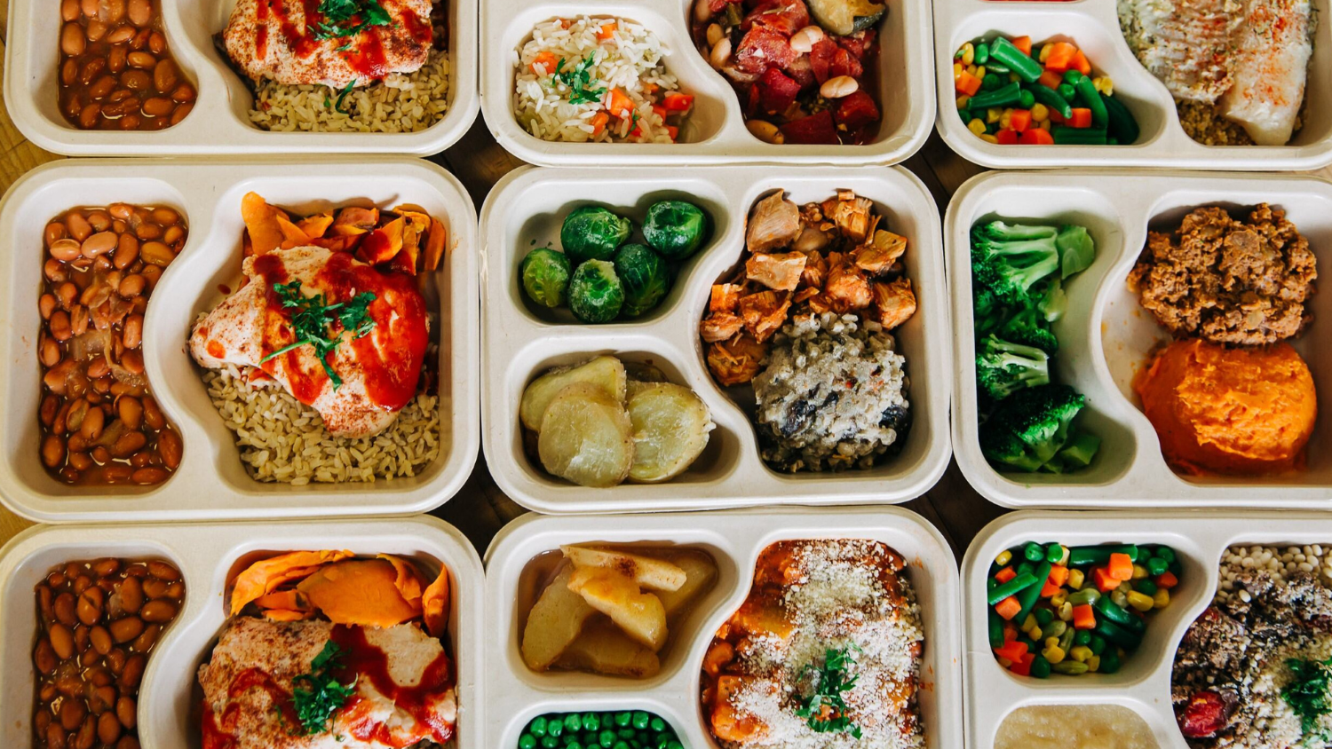 Image for December Positive Change: Open Arms of Minnesota