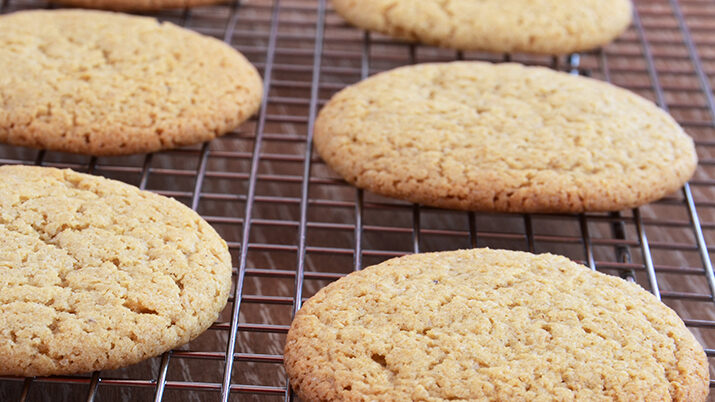 Image for Eggnog Spiced Sugar Cookies