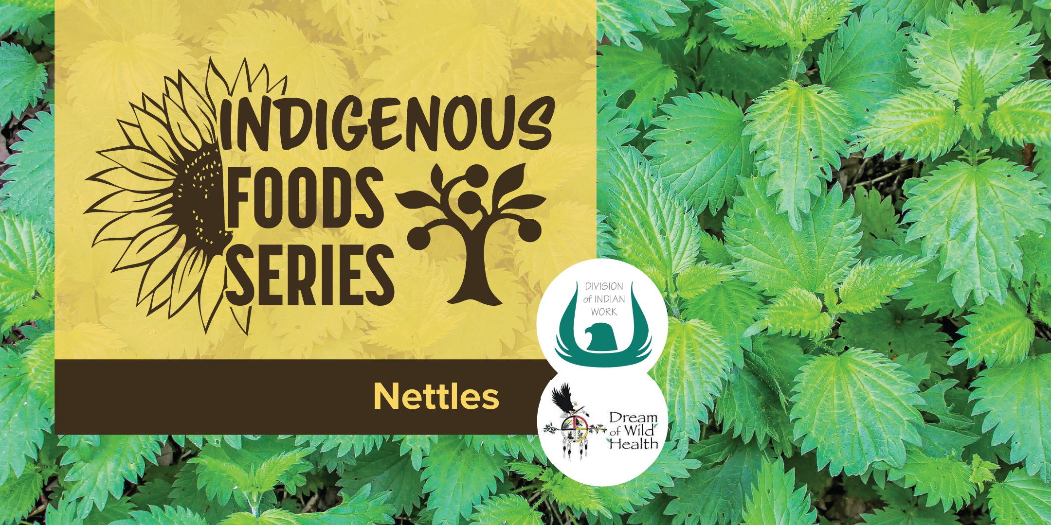 Image for Indigenous Foods Class Series – Nettles (virtual class)