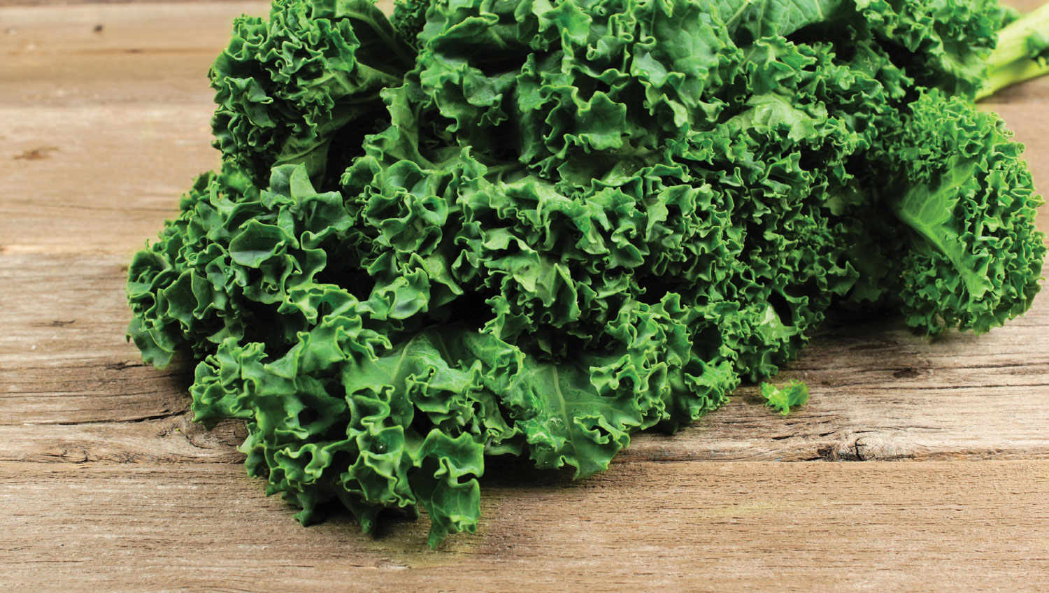 KaleGreen Mississippi Market Coop