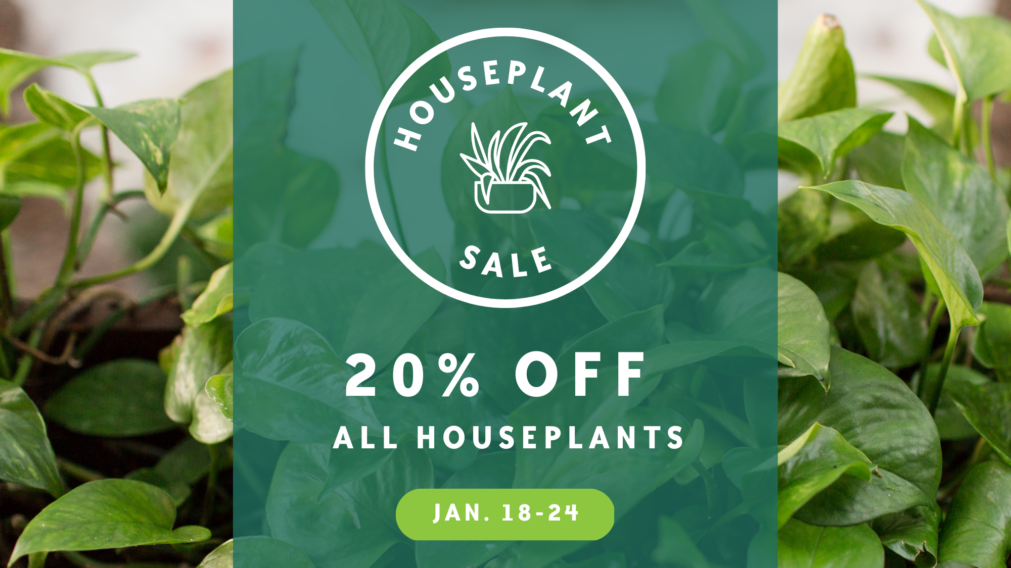 Image for Houseplant Sale