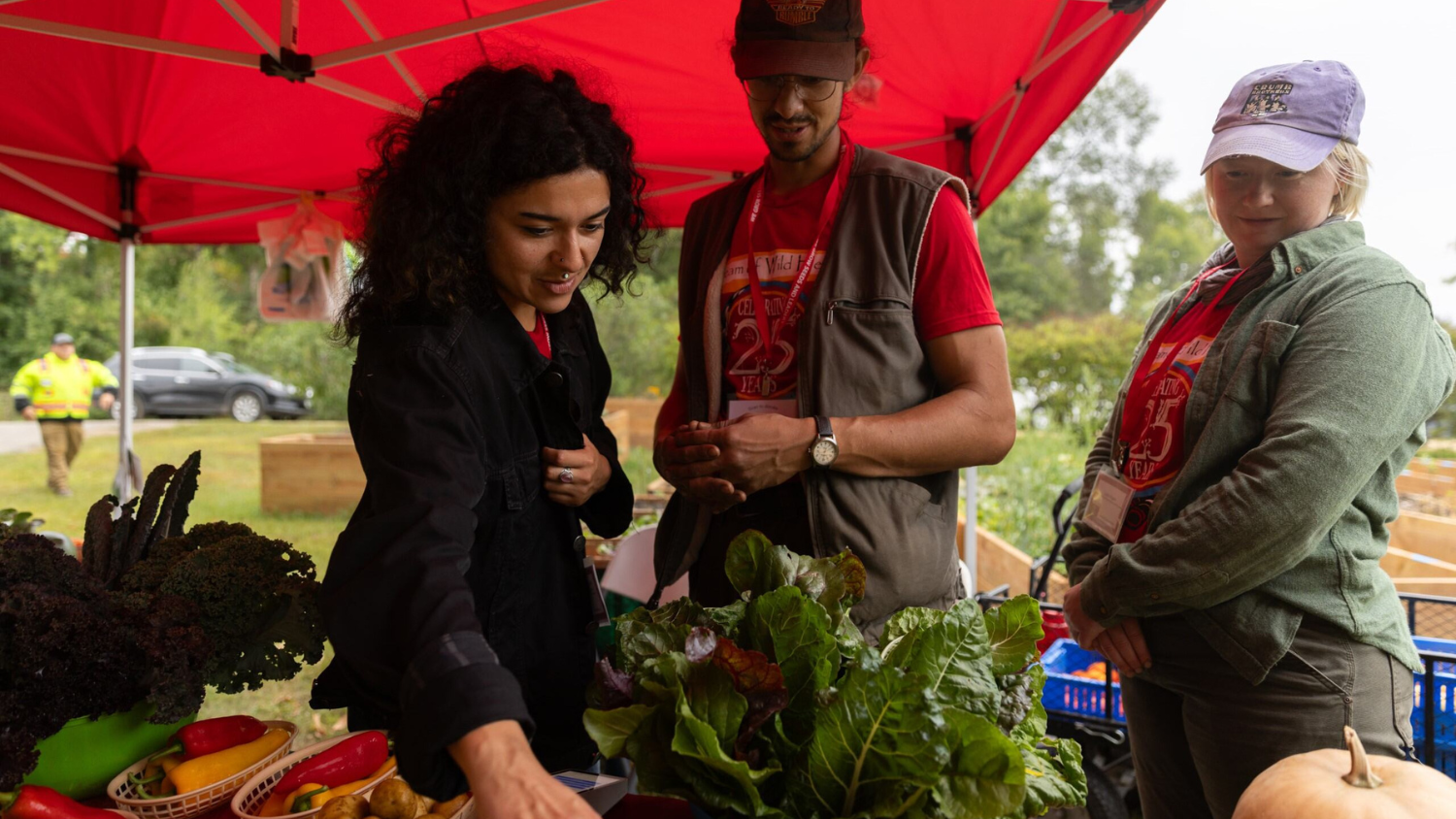 Image for November Positive Change: Dream of Wild Health