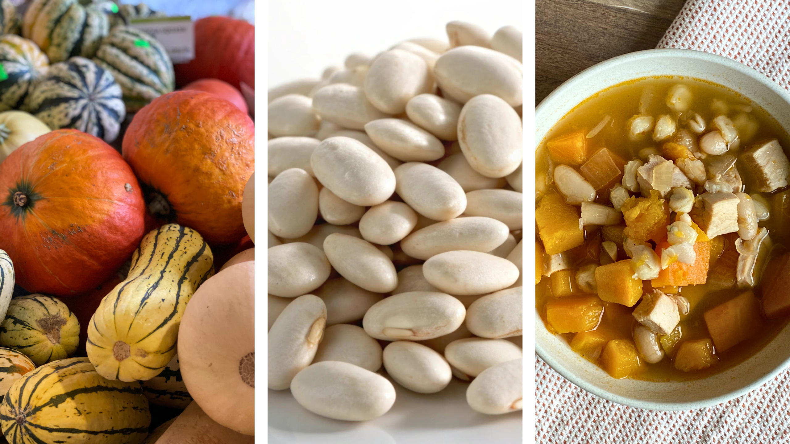 Image for Honoring Indigenous Food and Culture: Native American Heritage Month