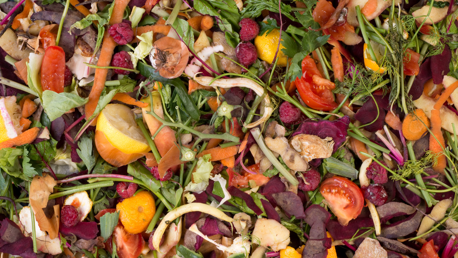 Image for Stop Food Waste – Virtual Home Composting