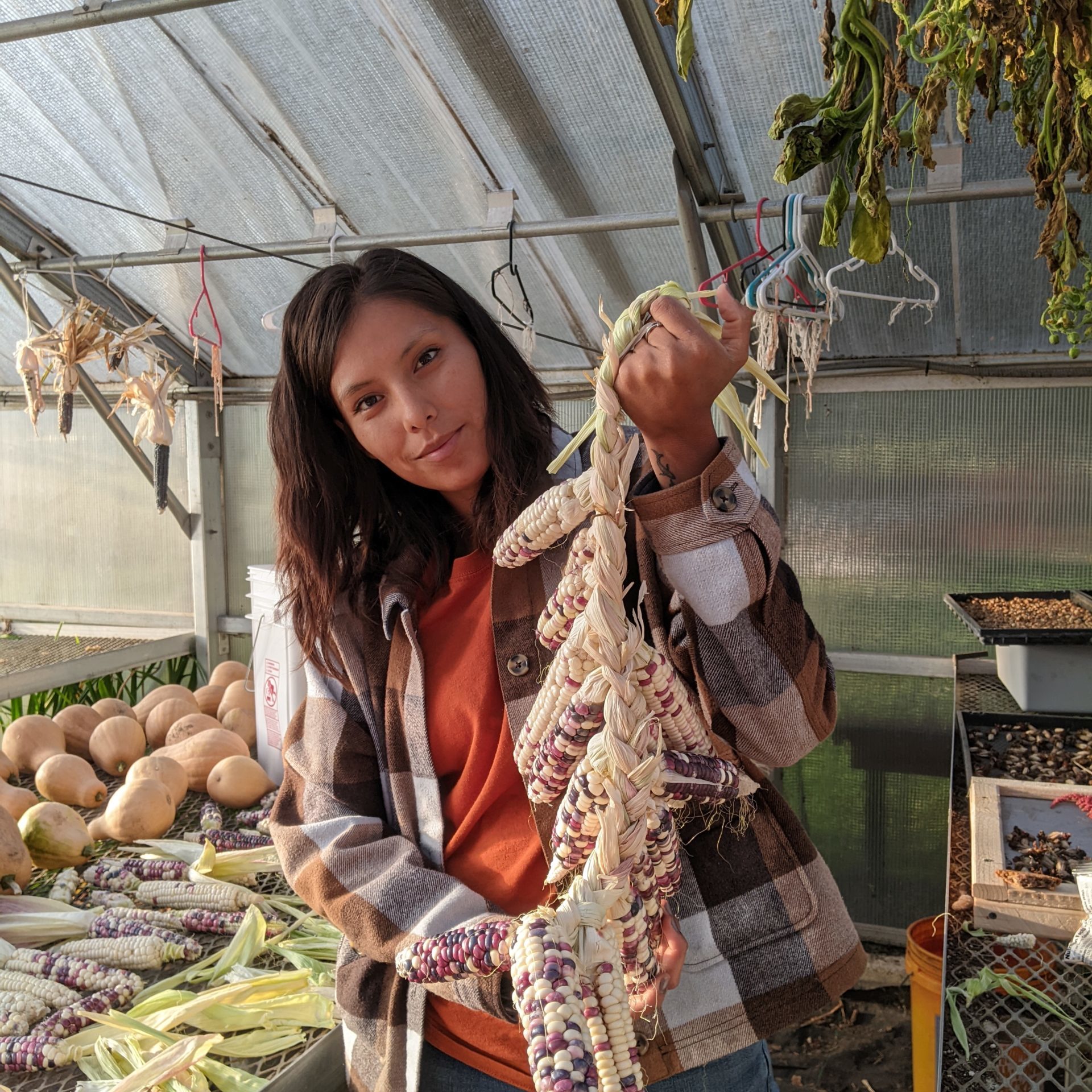 Dream of wild health 1