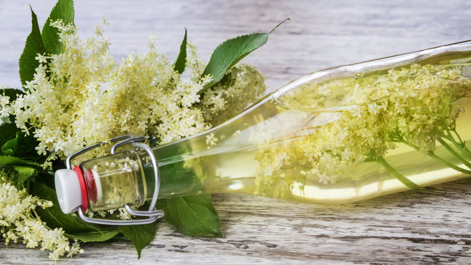 Image for Making Flower Cordials