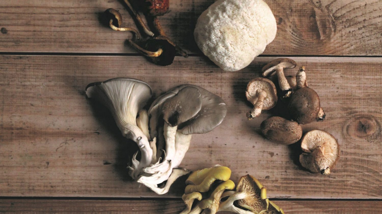 Image for Explore the Versatility of Gourmet Mushrooms