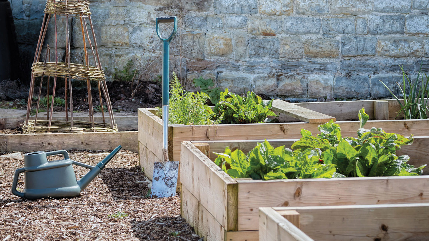 Image for How to: Build & Plant a Raised Bed