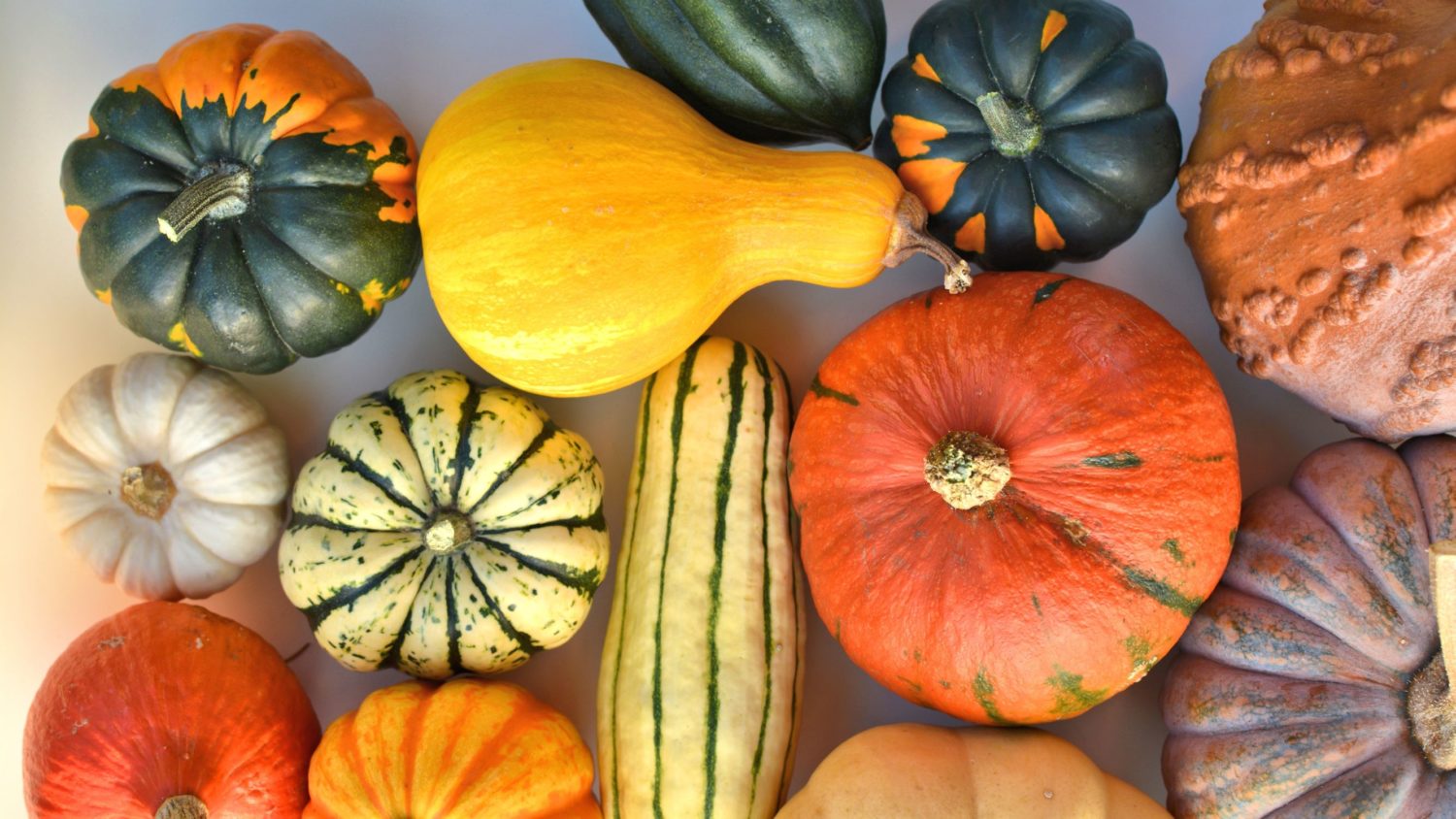 Image for All About Squash