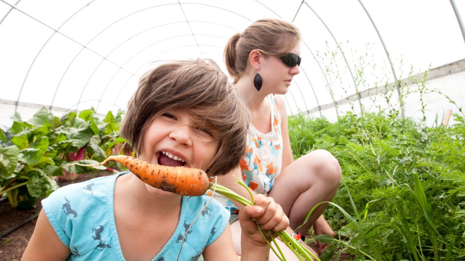 Image for Co-op Farm Tour