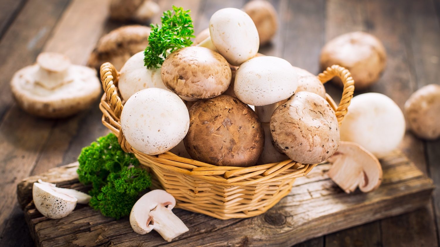 Image for Mushrooms for Food & Medicine